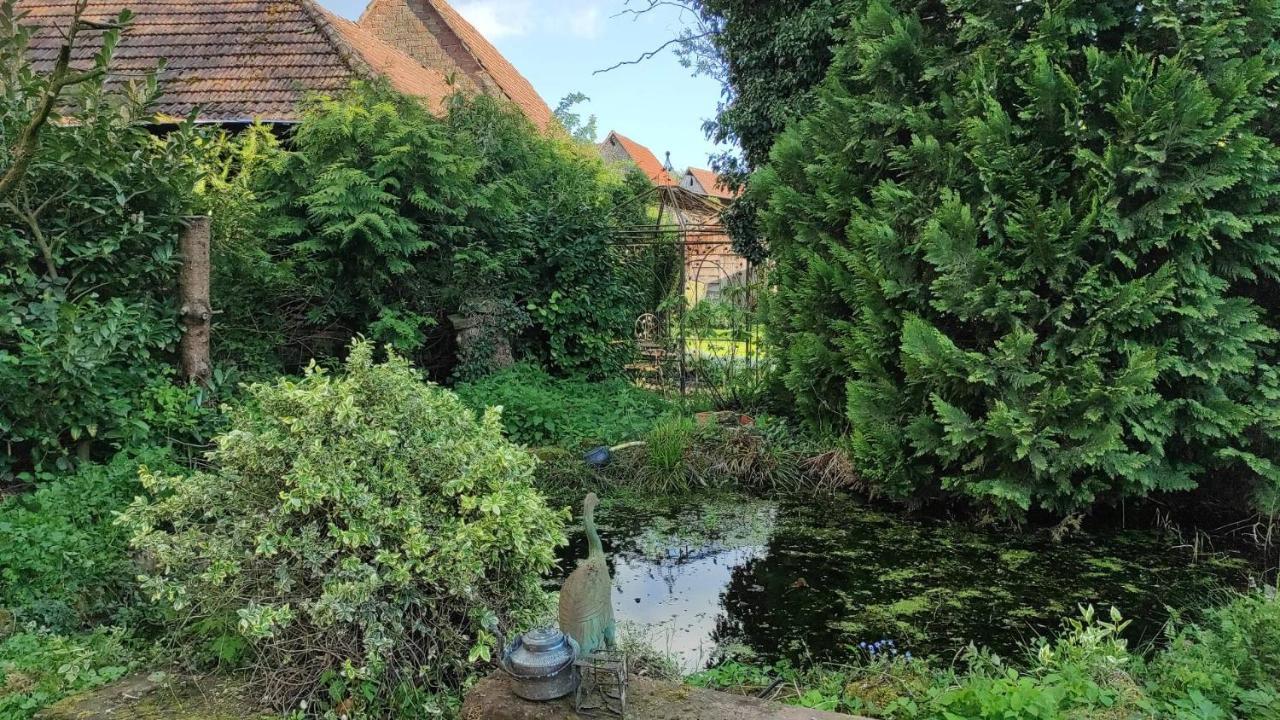 Gite A La Petite Fontaine-Plain Pied-Maison Alsacienne Renovee Avec Passion-4 Pers-4Nuitees Minimum Langensoultzbach Eksteriør billede